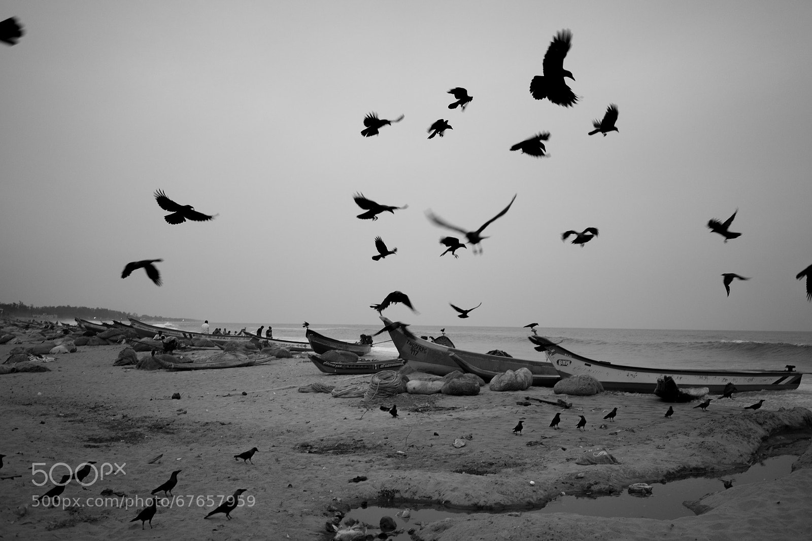 Sony a7R sample photo. Untitled photography