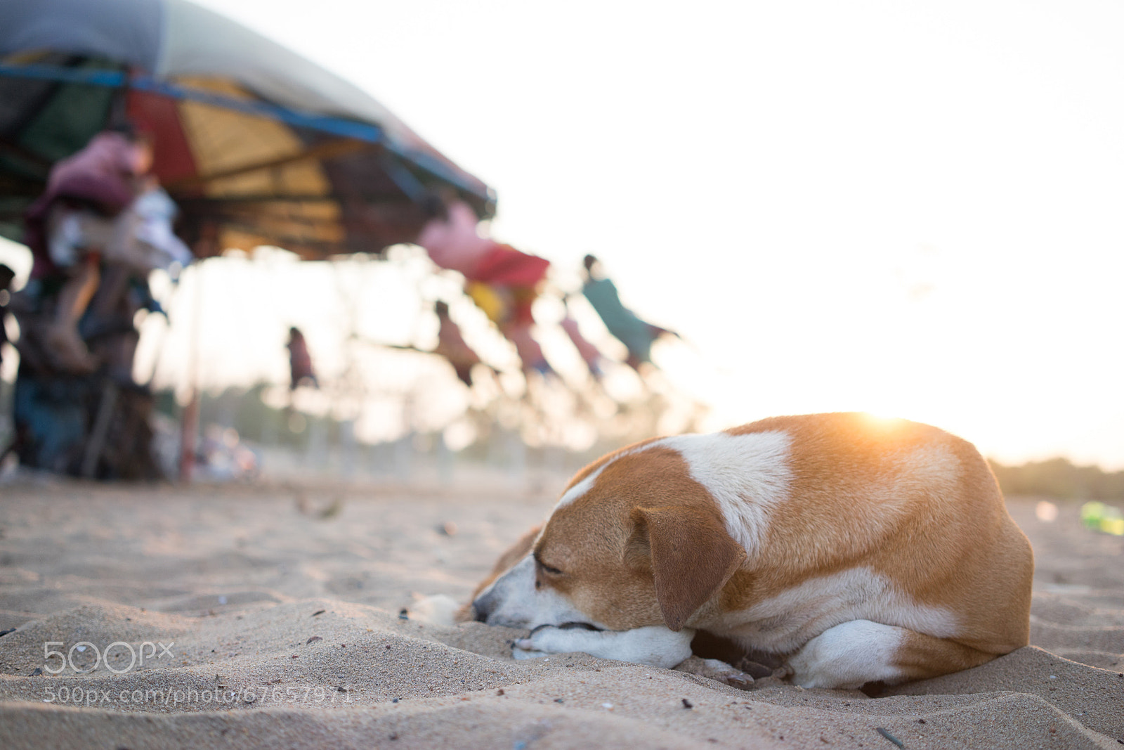 Sony a7R sample photo. Untitled photography
