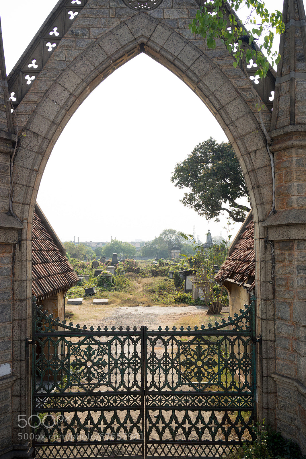 Sony a7R sample photo. Untitled photography