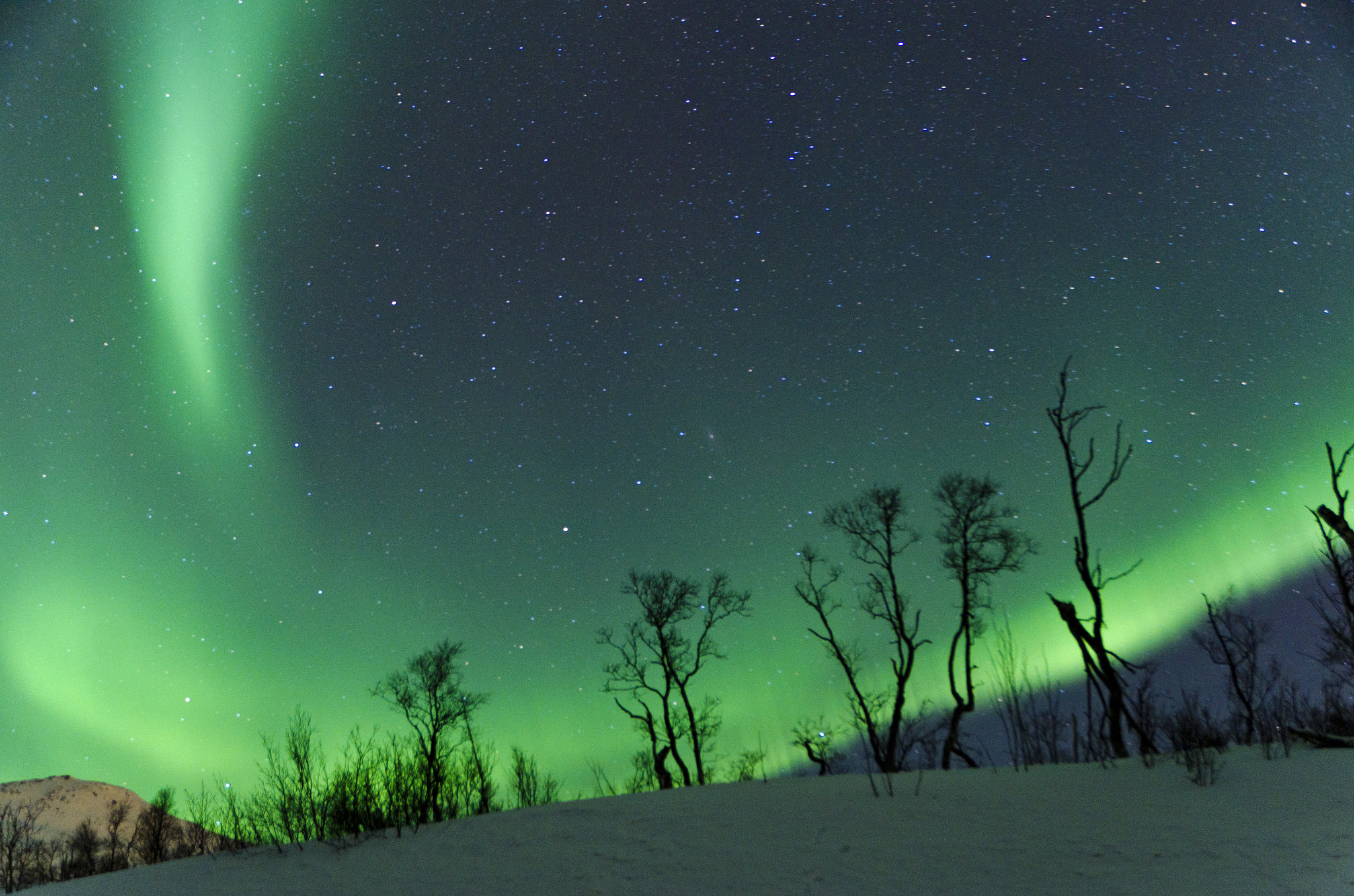 Where Can You See the Northern Lights in Norway?