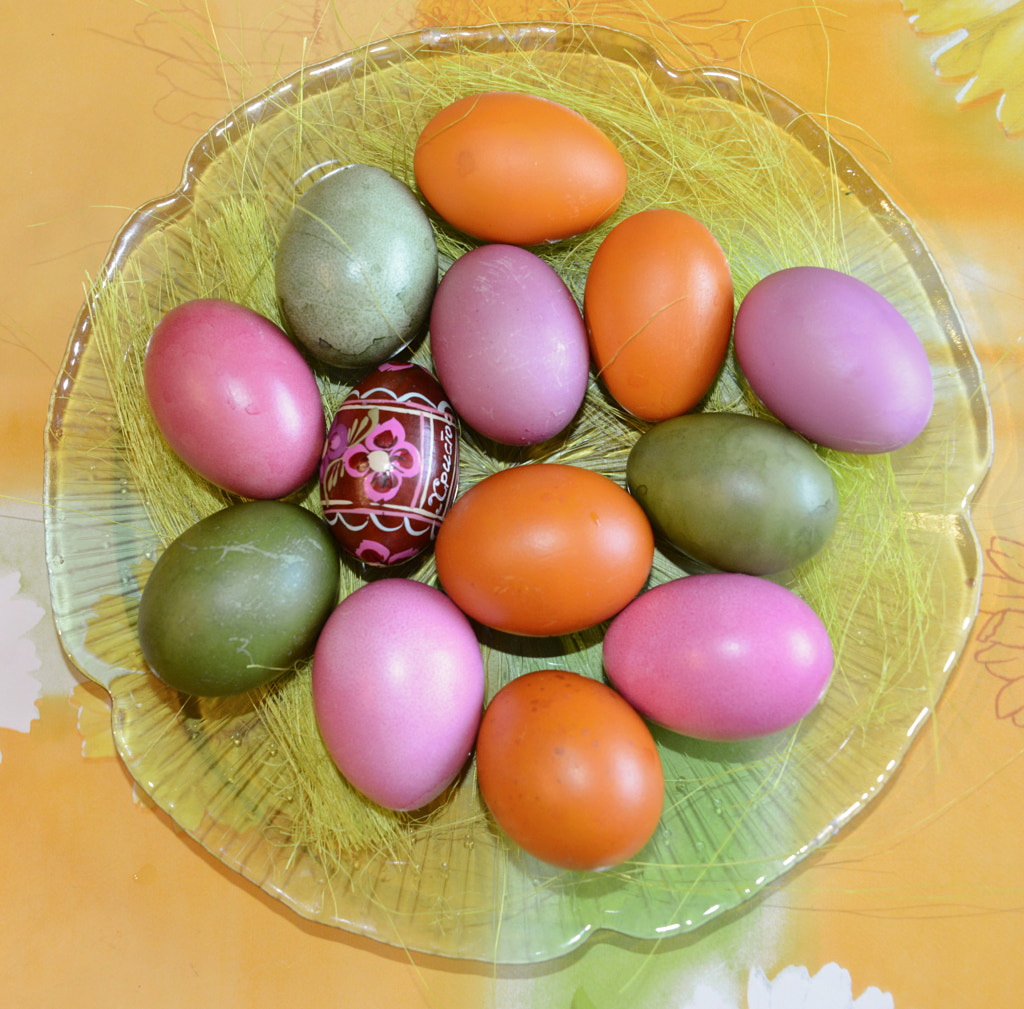 Easter Eggs by Anastasia A on 500px.com