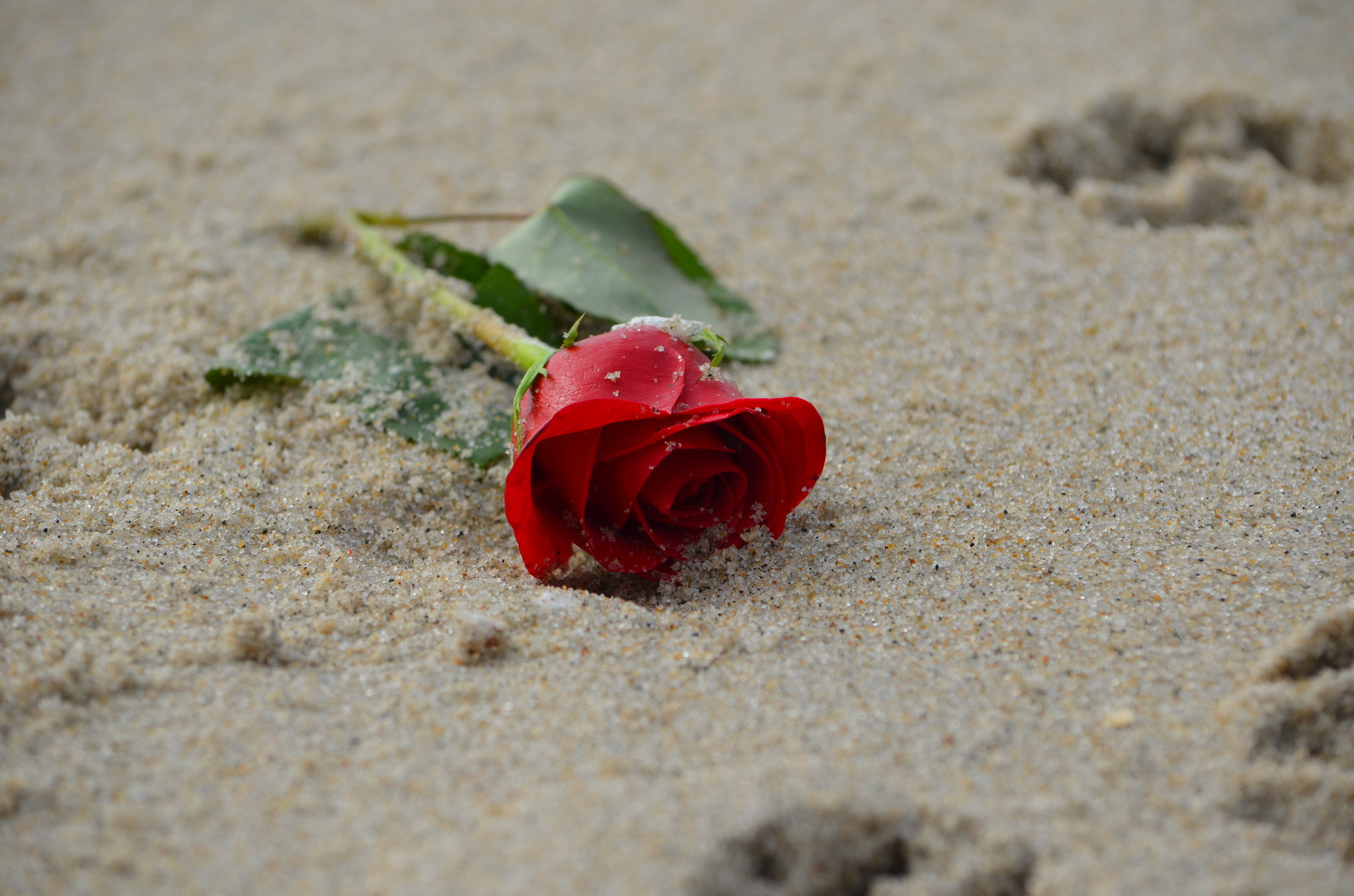 Buried Love