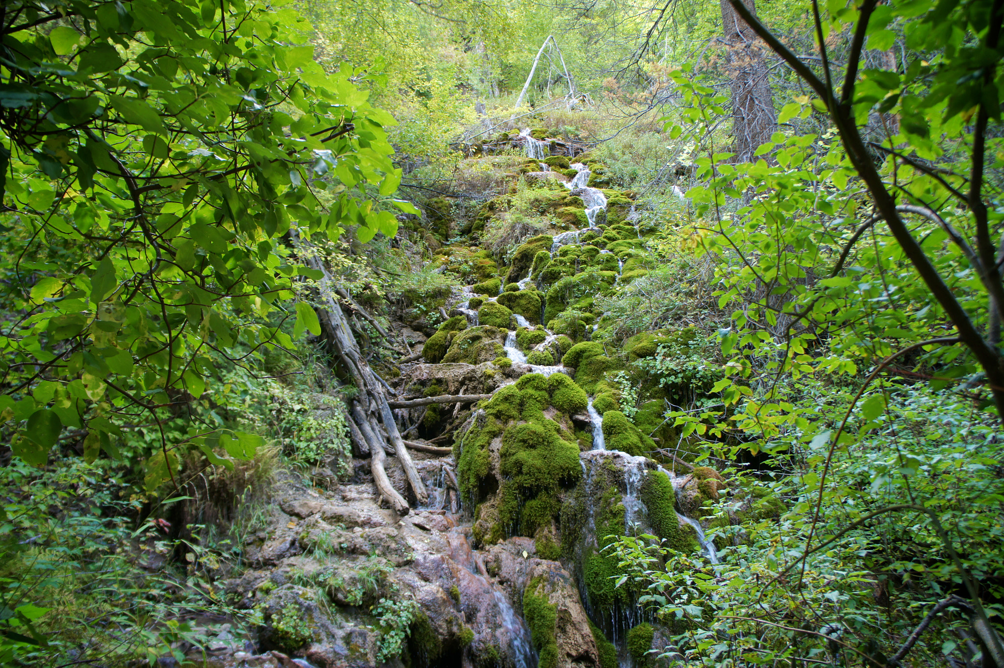 Ireland in Colorado