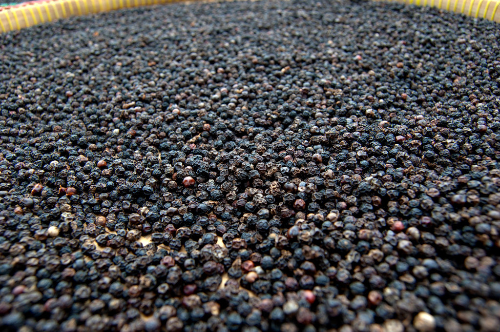 kampot pepper by Marla Simpson on 500px.com