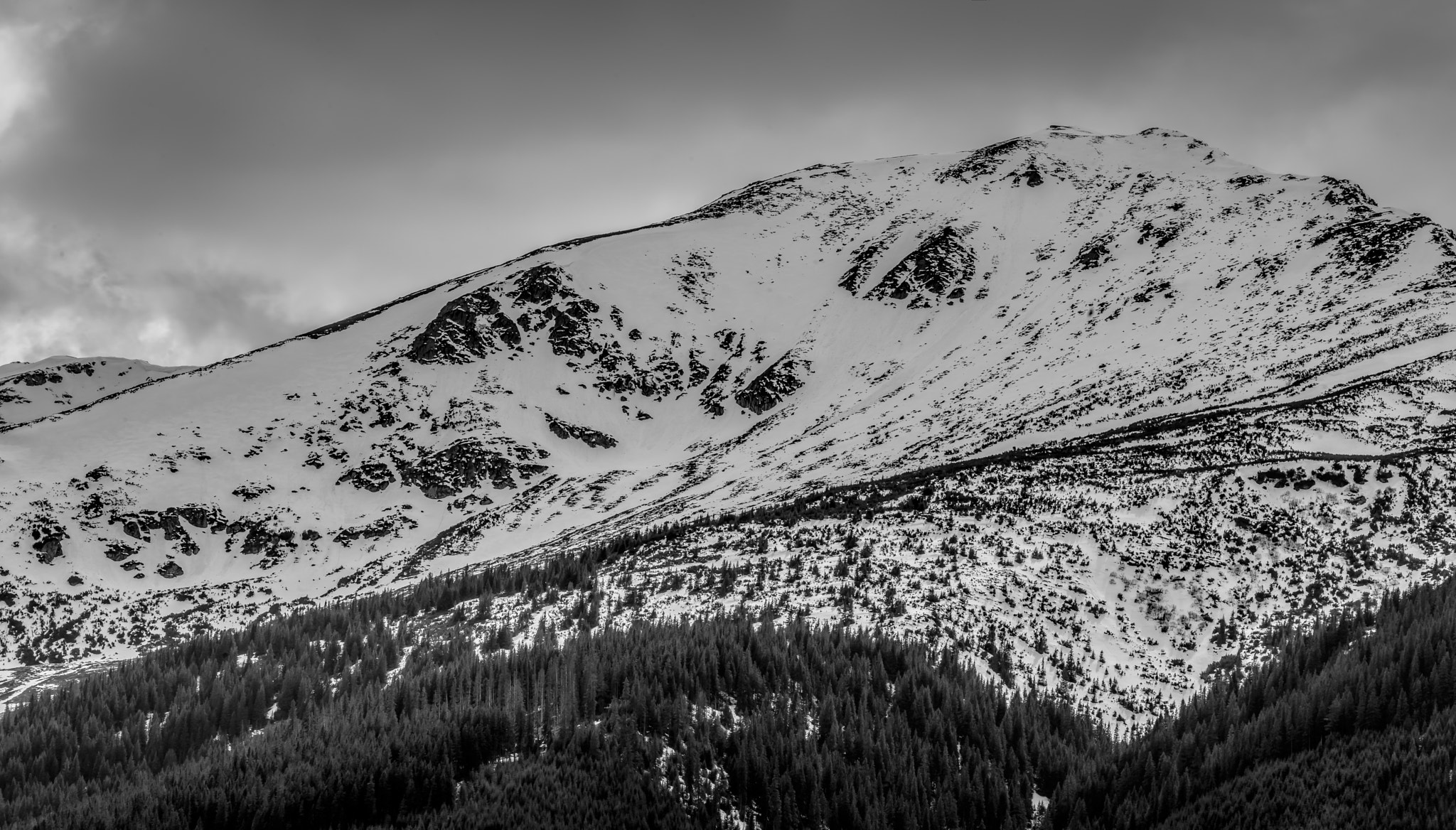 Winter on Prislop