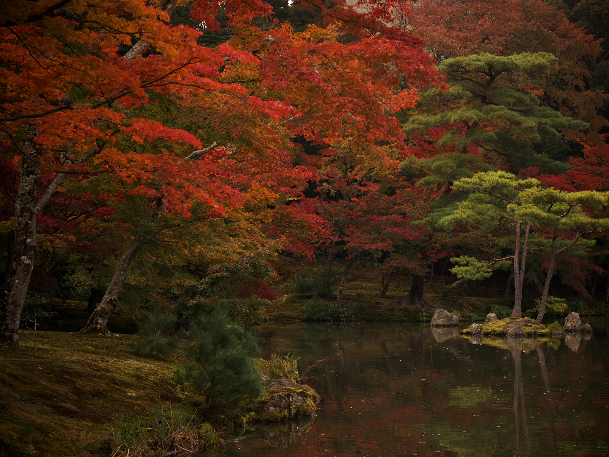 Autumn Zen Garden by Toshi Aida / 500px