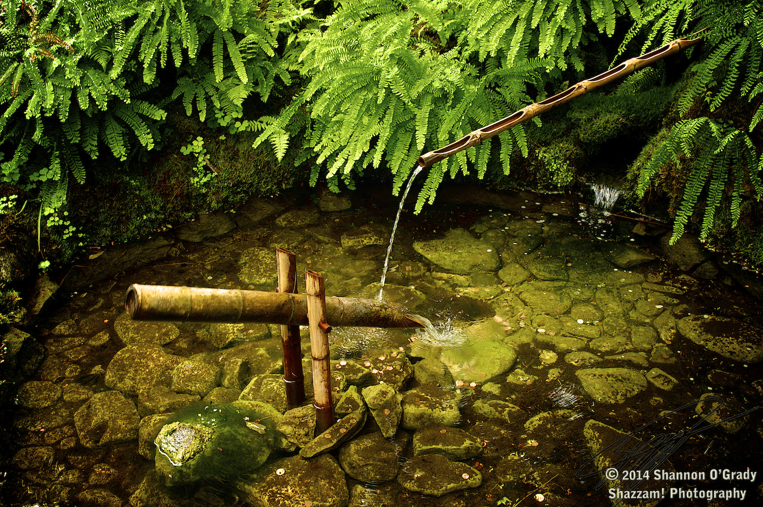 v2?sig=0621ec963f20f0ebaaf81007981fe8e590f9cecc4cbb217492e12dc534381047