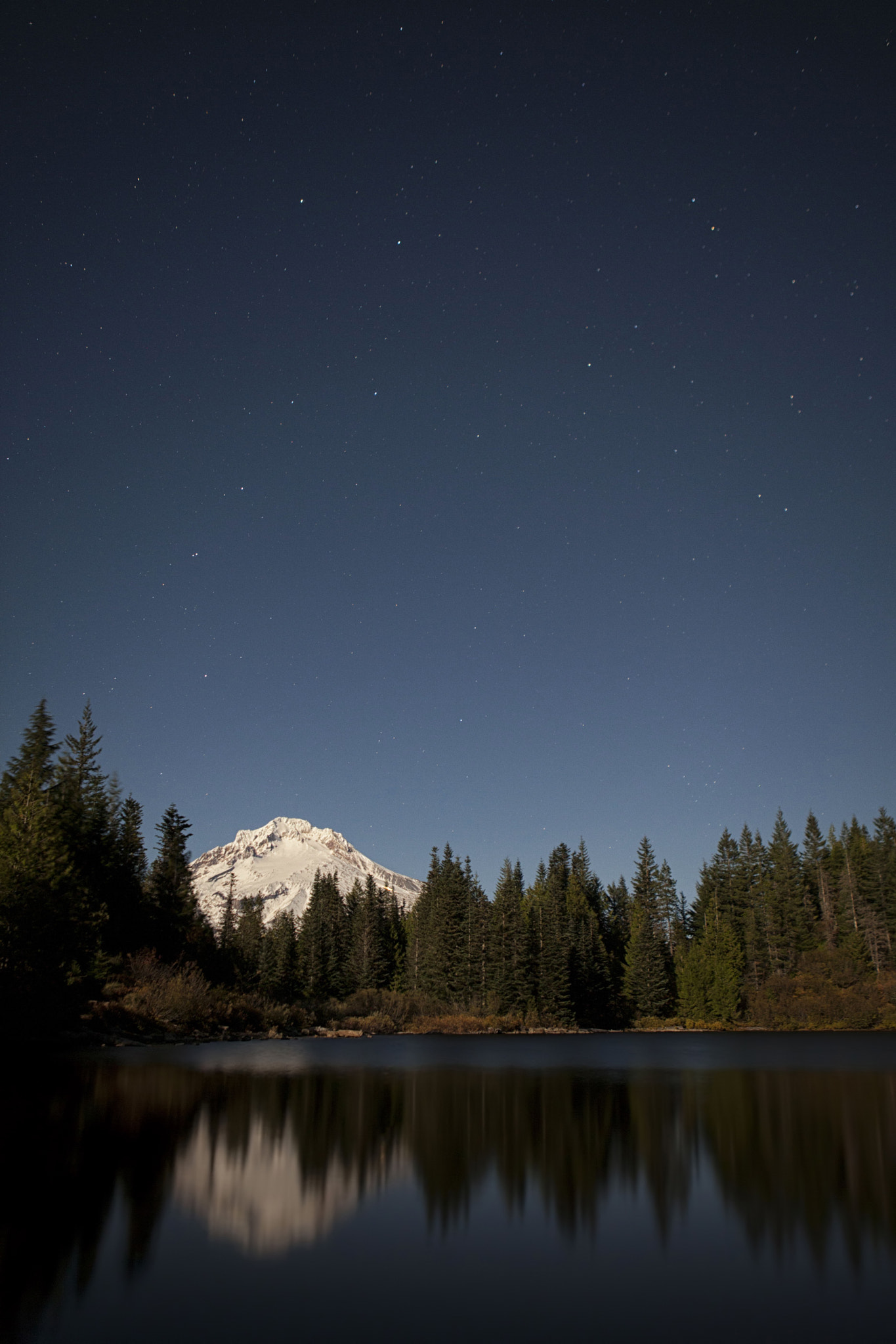 v2?sig=f0c360412dce811caaff3cf56353adab3