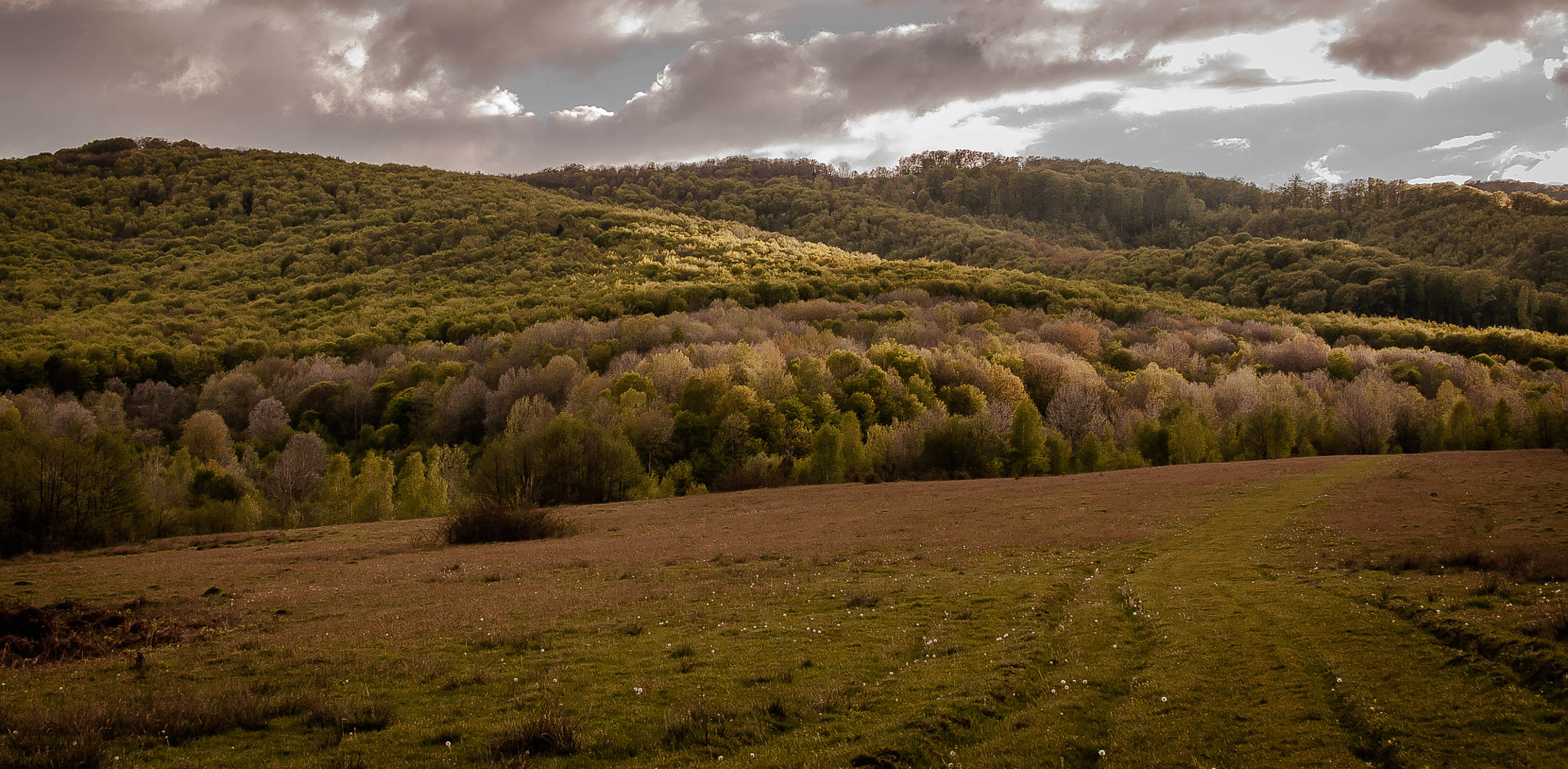 Гроза в Карпатах. Storm in the Carpathians.
