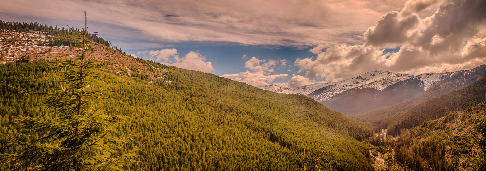 Top of Prislop