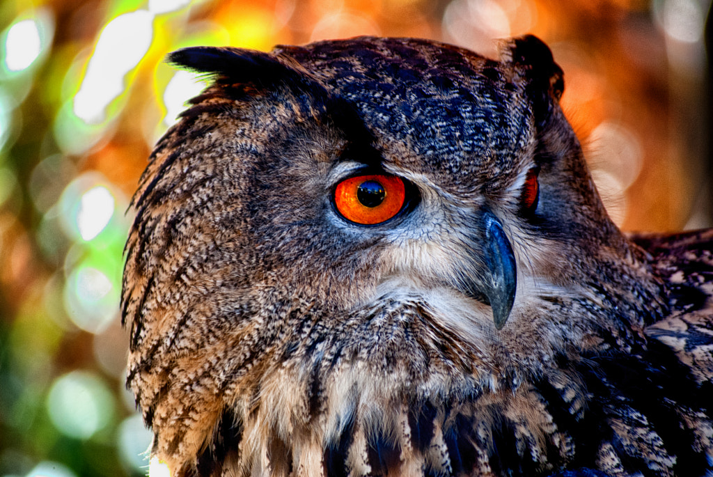 I'm looking for you. by Miguel Ángel Sánchez-Guerrero Ros on 500px.com