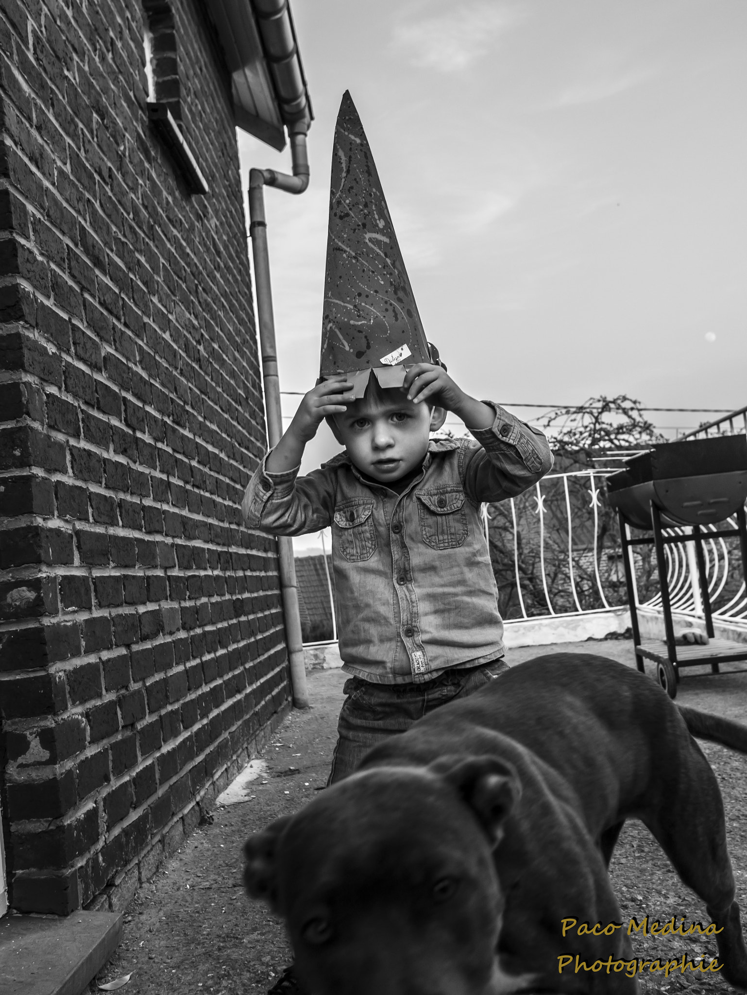 Panasonic Lumix DMC-GX1 + Sigma 19mm F2.8 DN Art sample photo. Diego et son chien photography