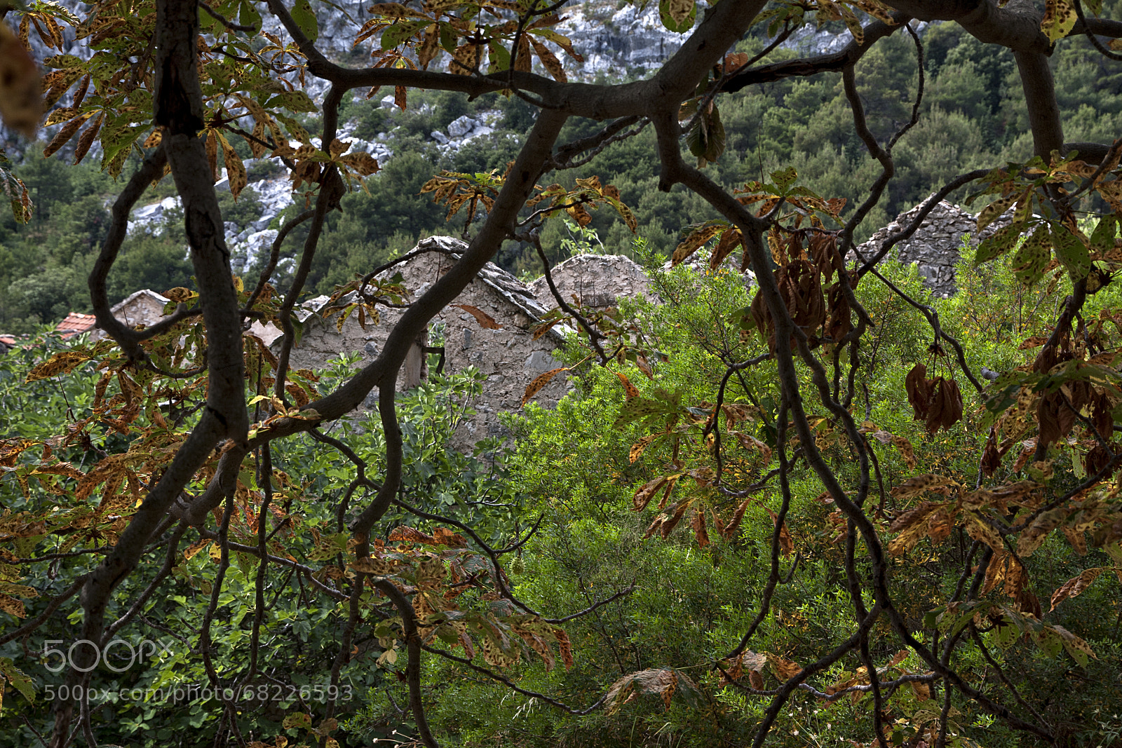 Canon EOS 40D sample photo. Being with the past photography