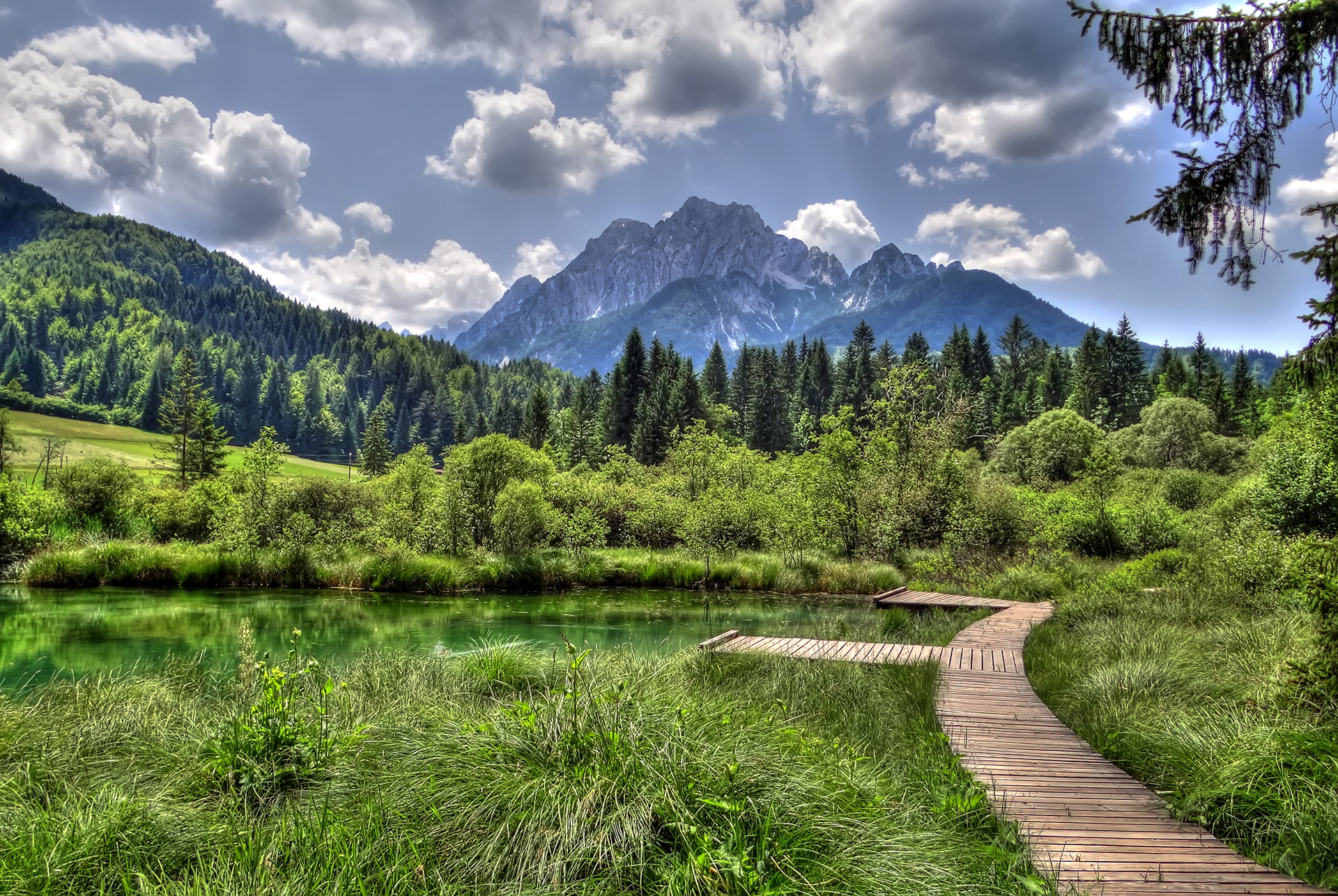 Sava