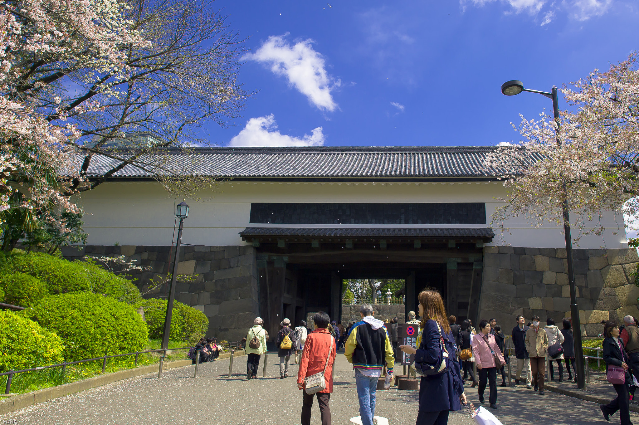 Nikon D3 + Nikon AF-S Nikkor 24mm F1.4G ED sample photo. 皇居 photography