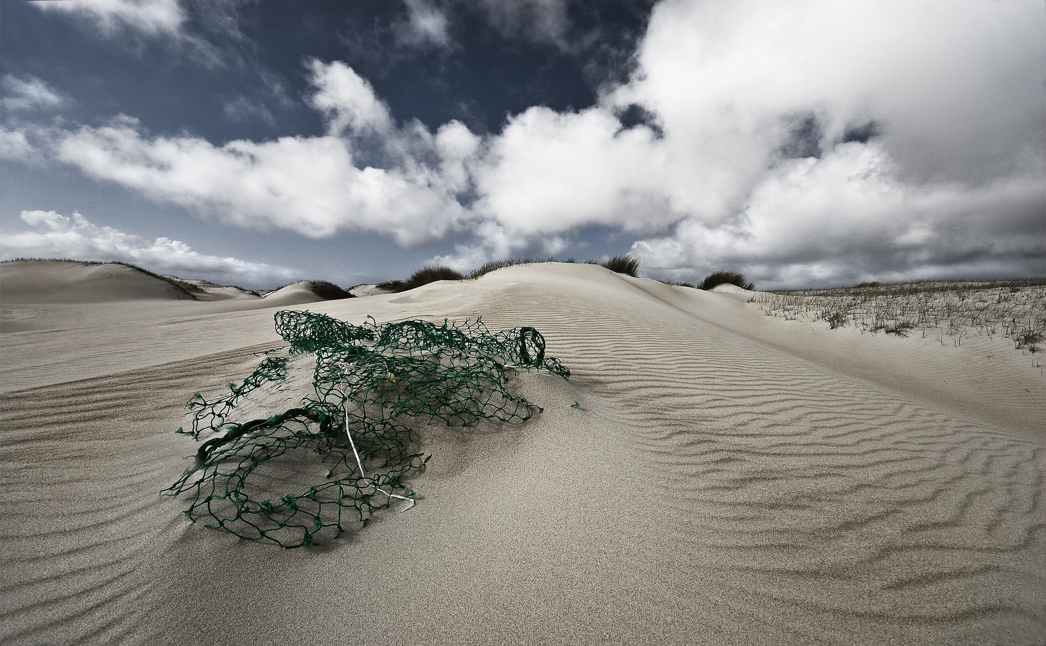 Fishermen's Net