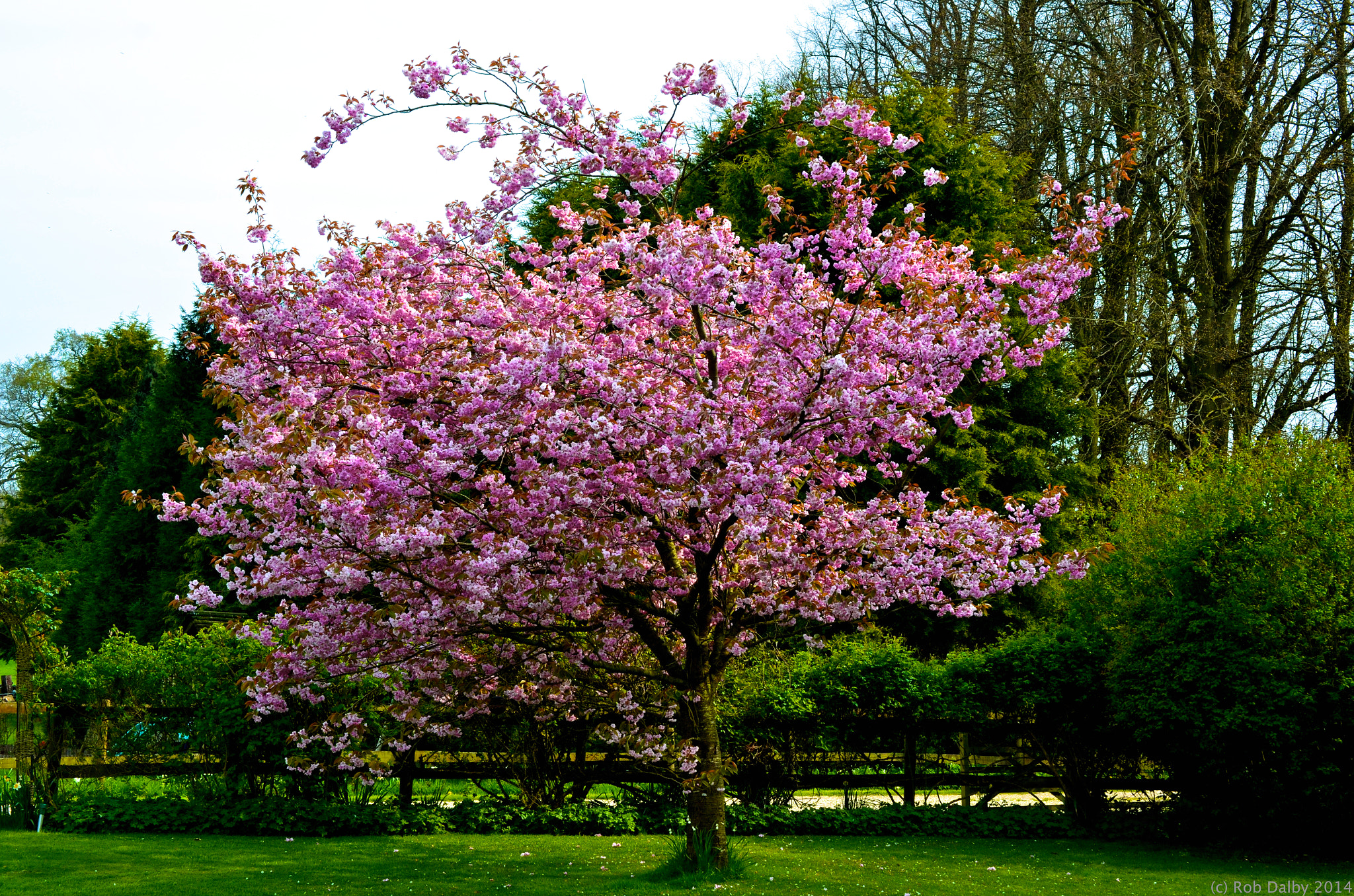 v2?sig=0290857939320aec10c506addafd2f0bb8e849ff3c1ee2166d89fcec920623ef