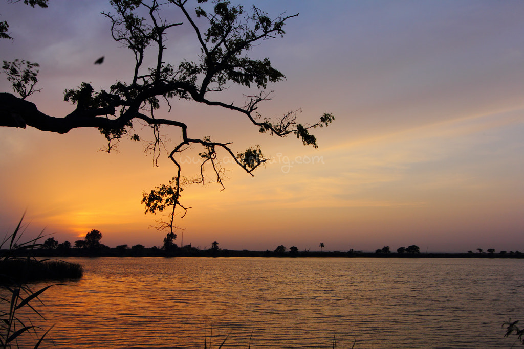 Haleji by Aqeel Baig on 500px.com