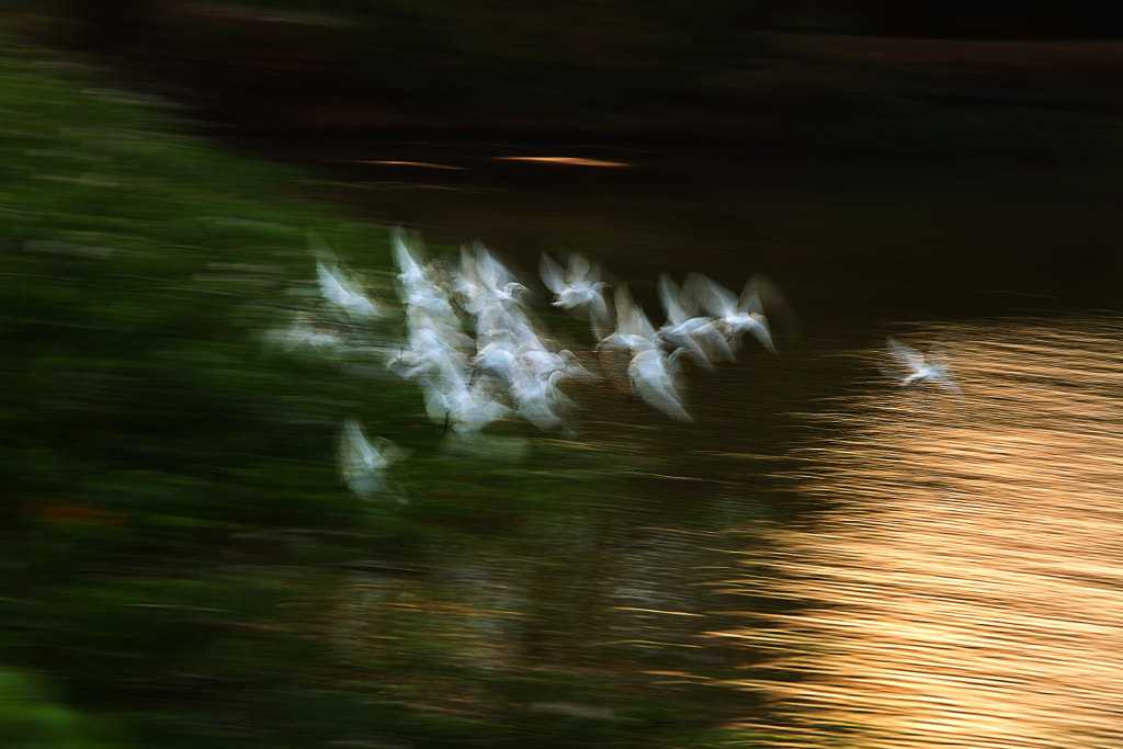 musical moods of flights by wanderlust on 500px.com