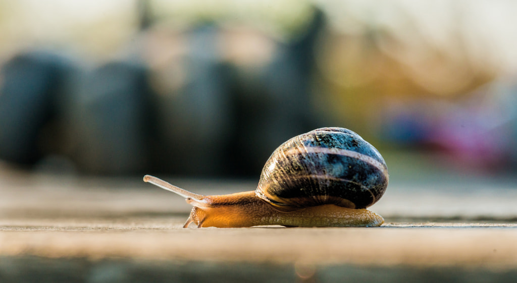 On my way by Catalin Tibuleac on 500px.com