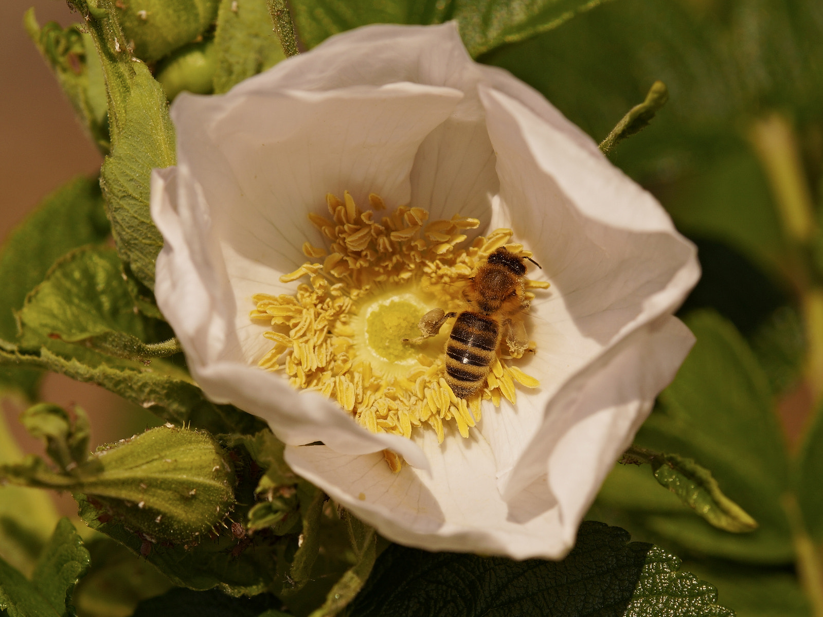 v2?sig=695c0bcba1d5388dc065dc0740caef6298ced72044b5004f7718d68b93c128b2