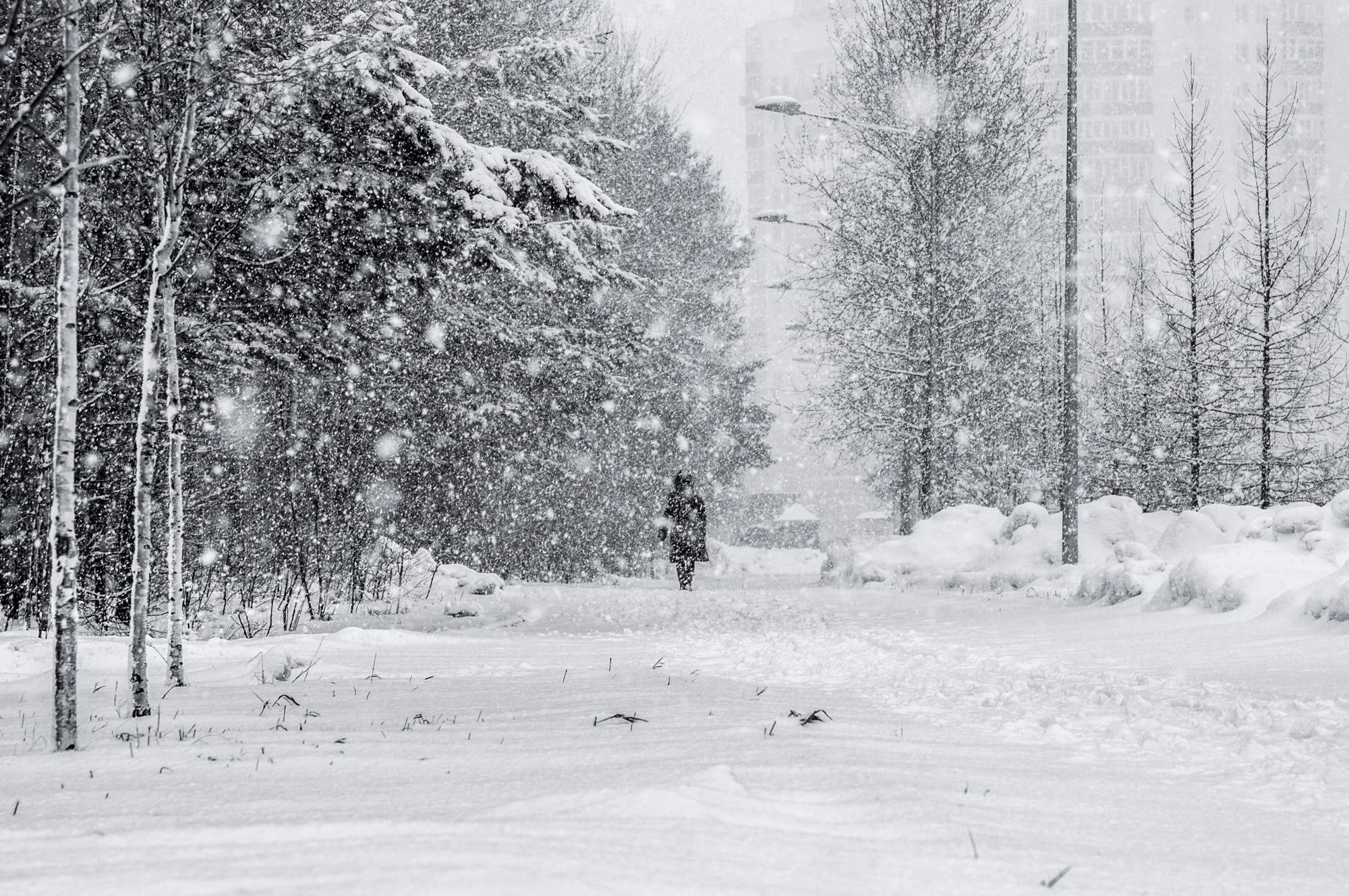 Spring snow