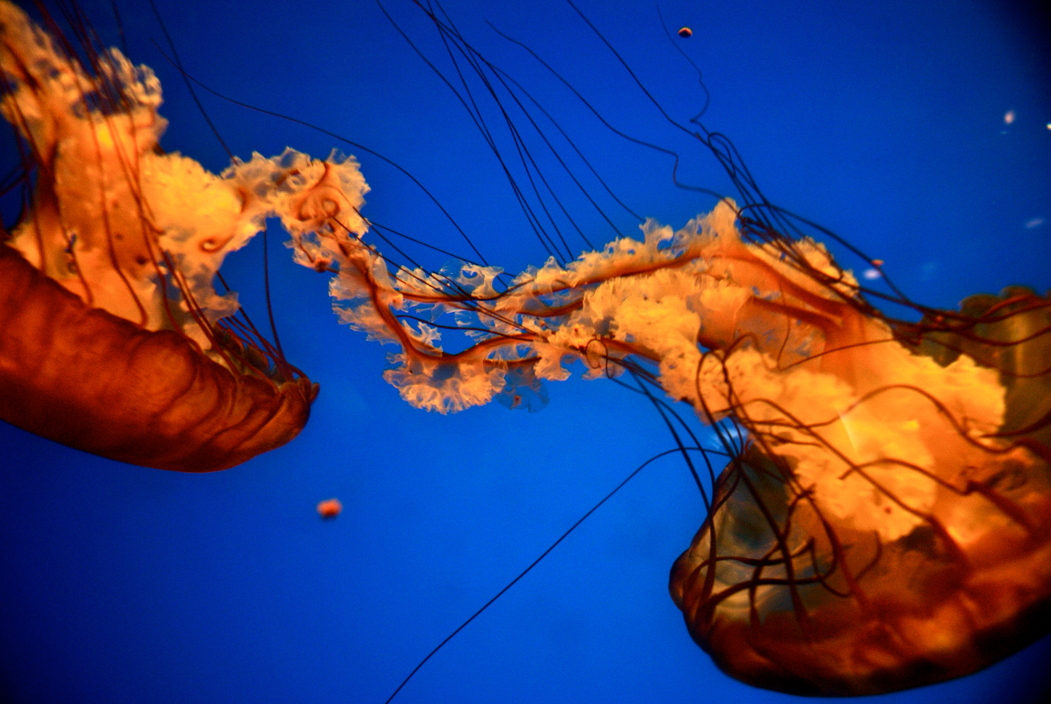 v2?sig=9cebcd15f44c1d5cd69916f439b02f8930e46cb1dd6b432e03a083572963b63b