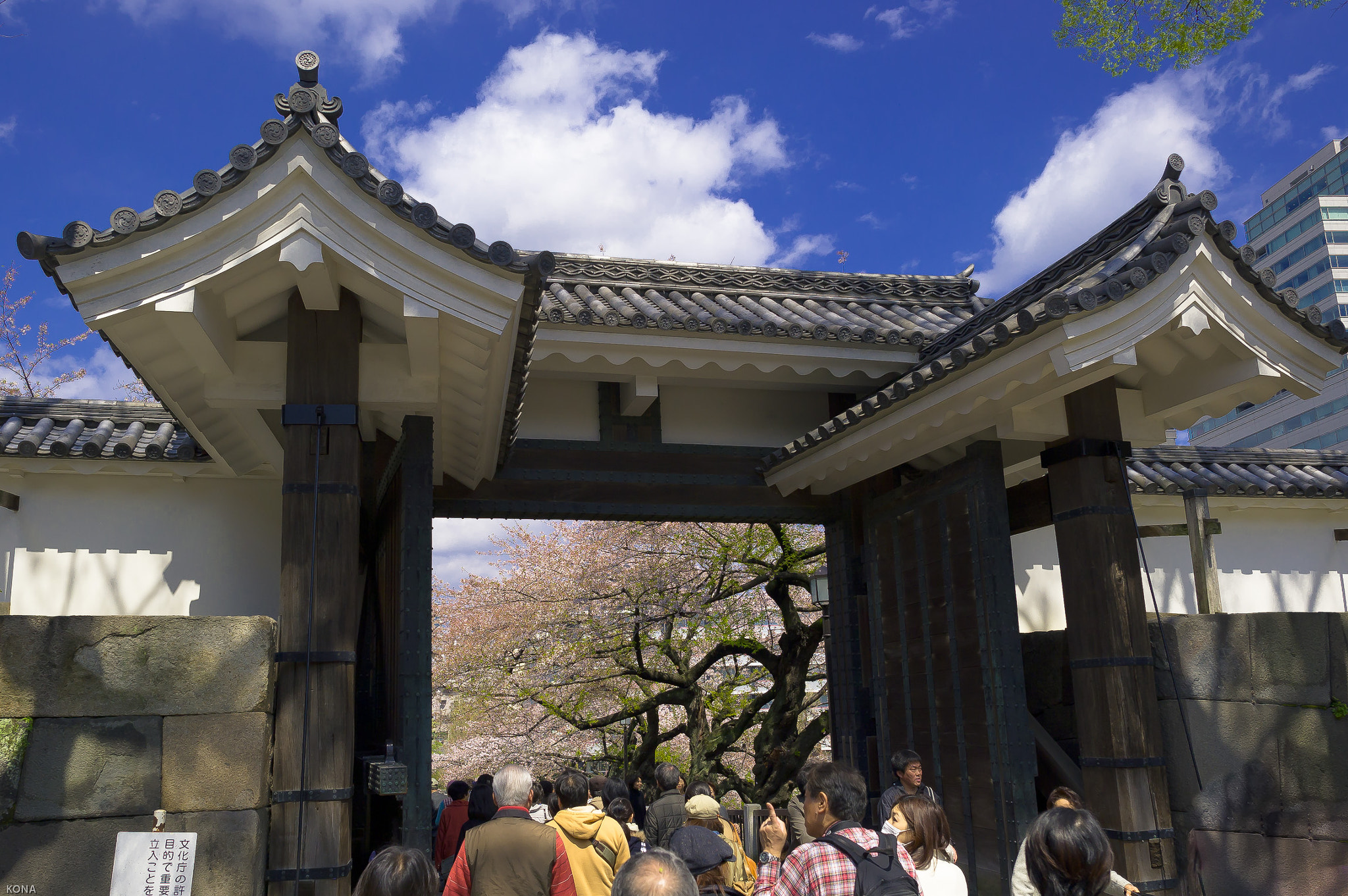 Nikon D3 + Nikon AF-S Nikkor 24mm F1.4G ED sample photo. Koukyo photography