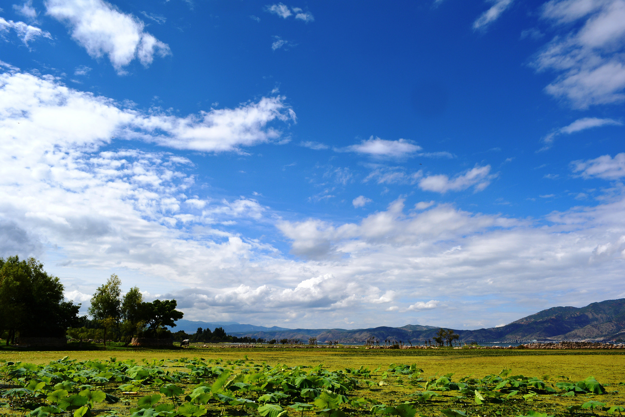 green under blue