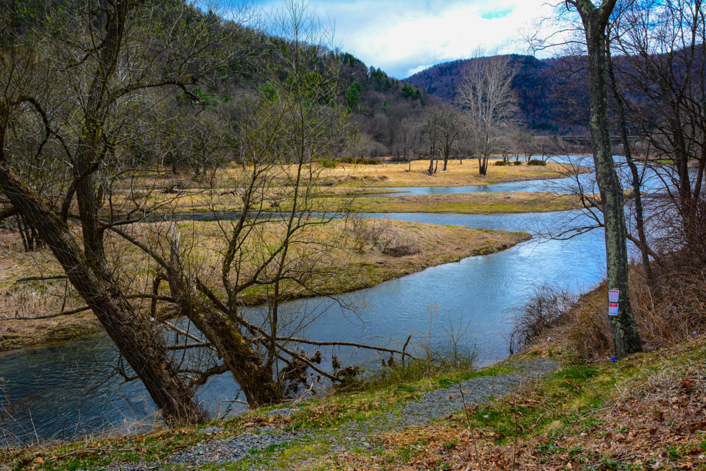 East Branch of the Delaware River, High Water, Flowing Toward East