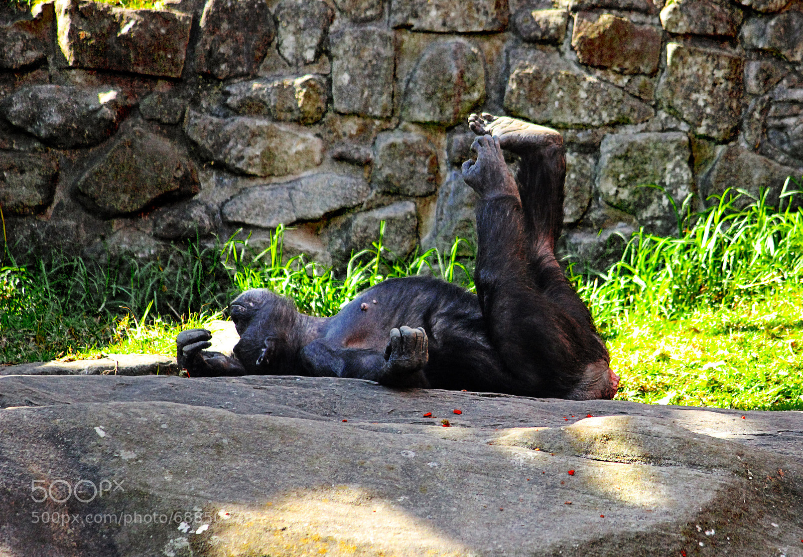Canon EOS 600D (Rebel EOS T3i / EOS Kiss X5) sample photo. Relax time photography
