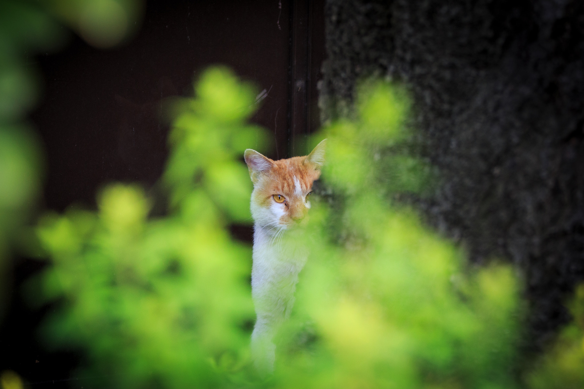 v2?sig=604c3856b4e5e6ecc6e3764e5bd23049a