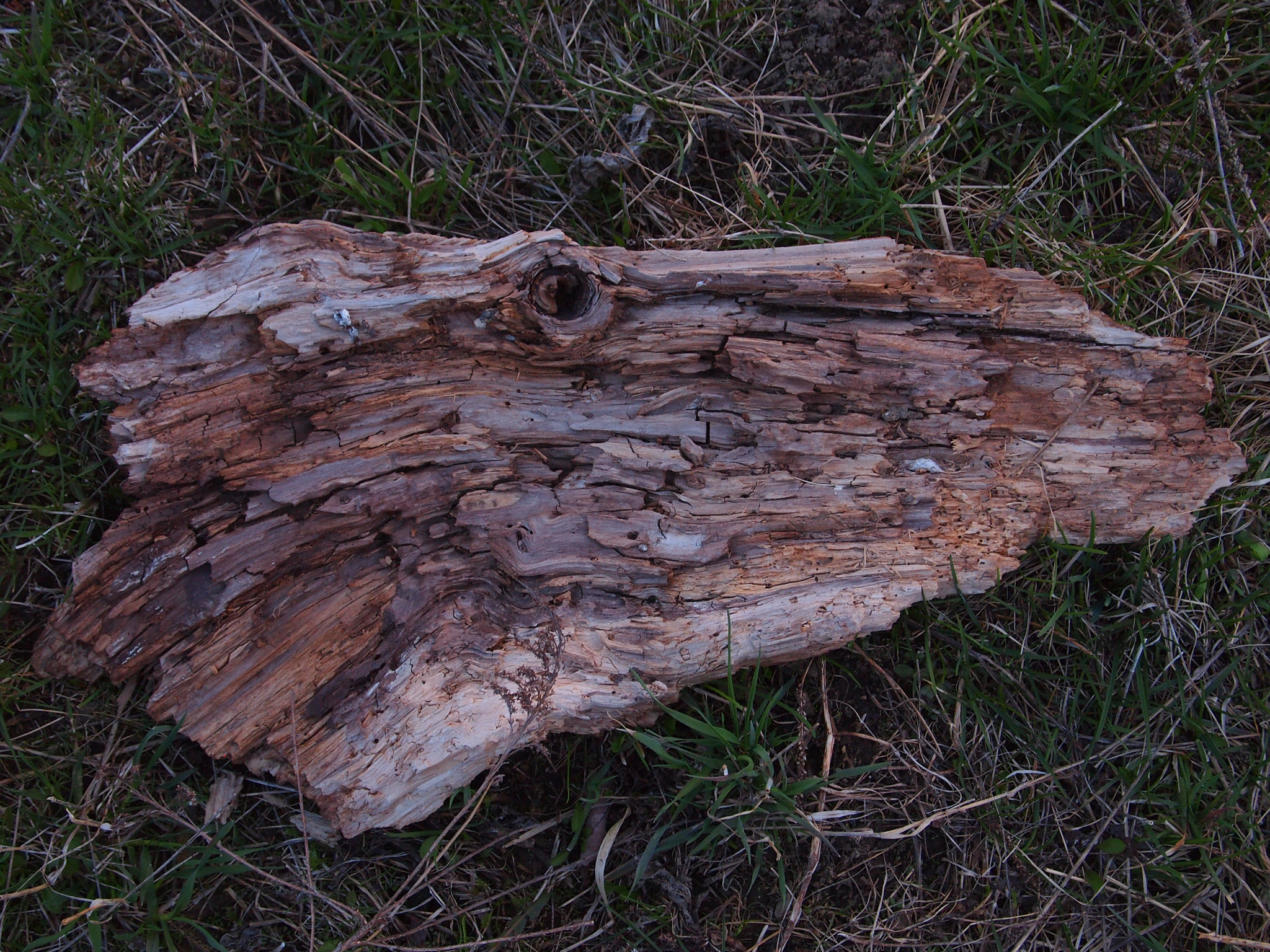 v2?sig=ca2f3a98715878722e95752848d9f9402e2e5c138d610da4ad9fda86e364aa29