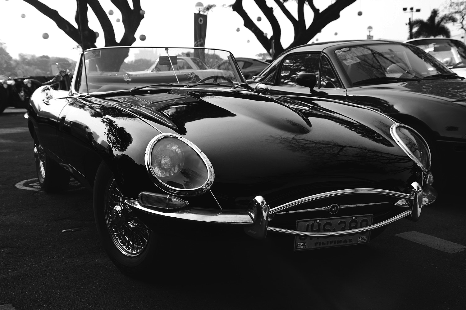 Atramental Jaguar E-Type