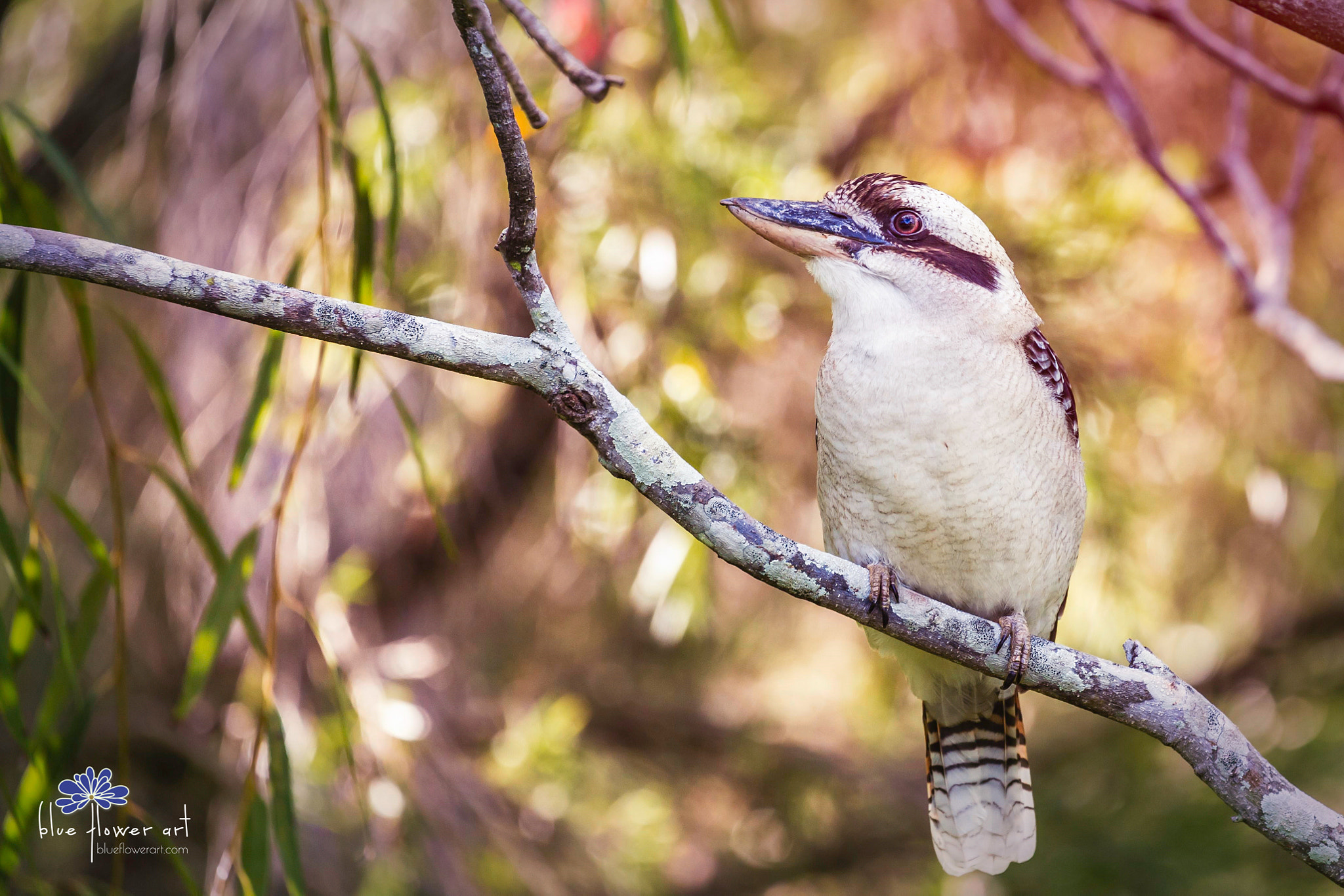 v2?sig=5237c89e38f08eccbd877f8732b1dc0e4b32bb87d4ab7de0456cf557cb84d192