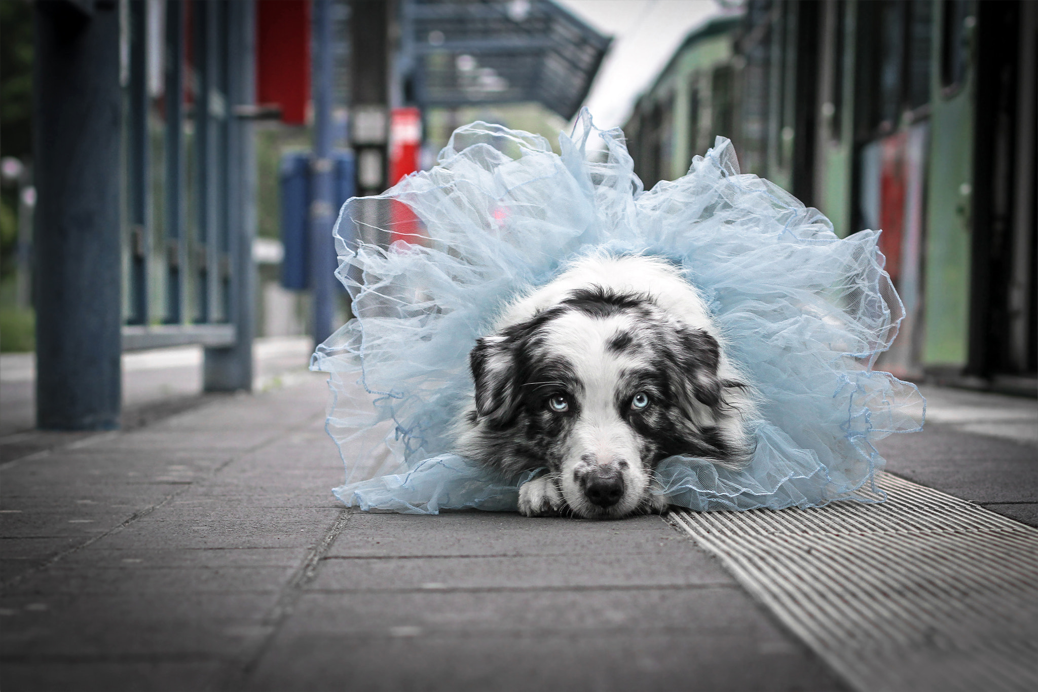 v2?sig=7ee47378dcd2d43a91f95d39d771408d00c7b73817d8283422bdd2889a985b2a