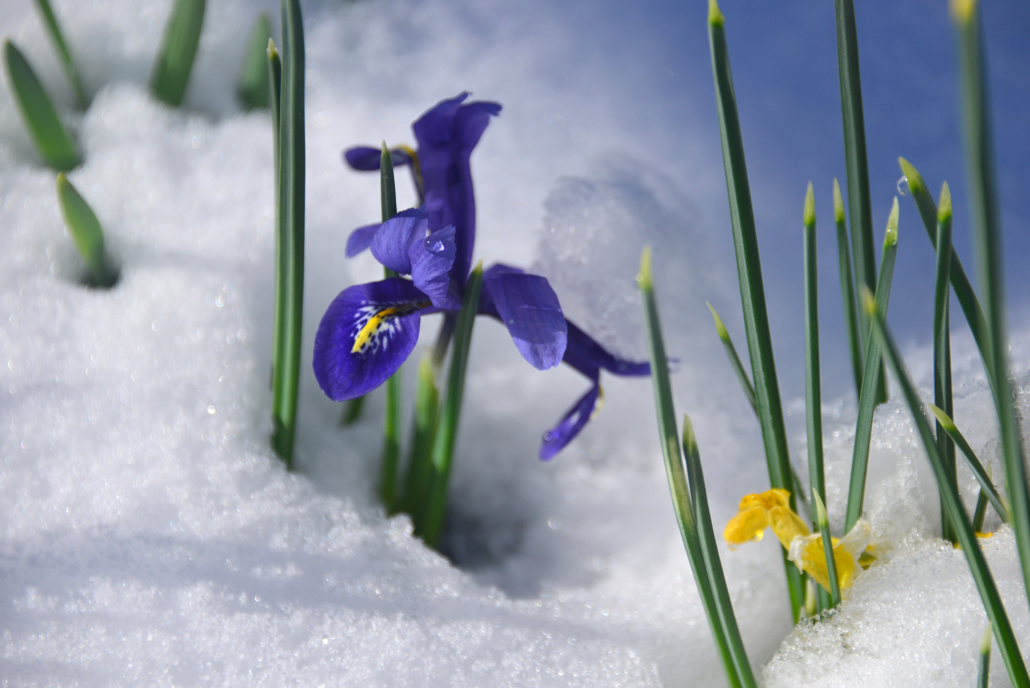 v2?sig=a6d1777794943dc6df10e470317b0f453