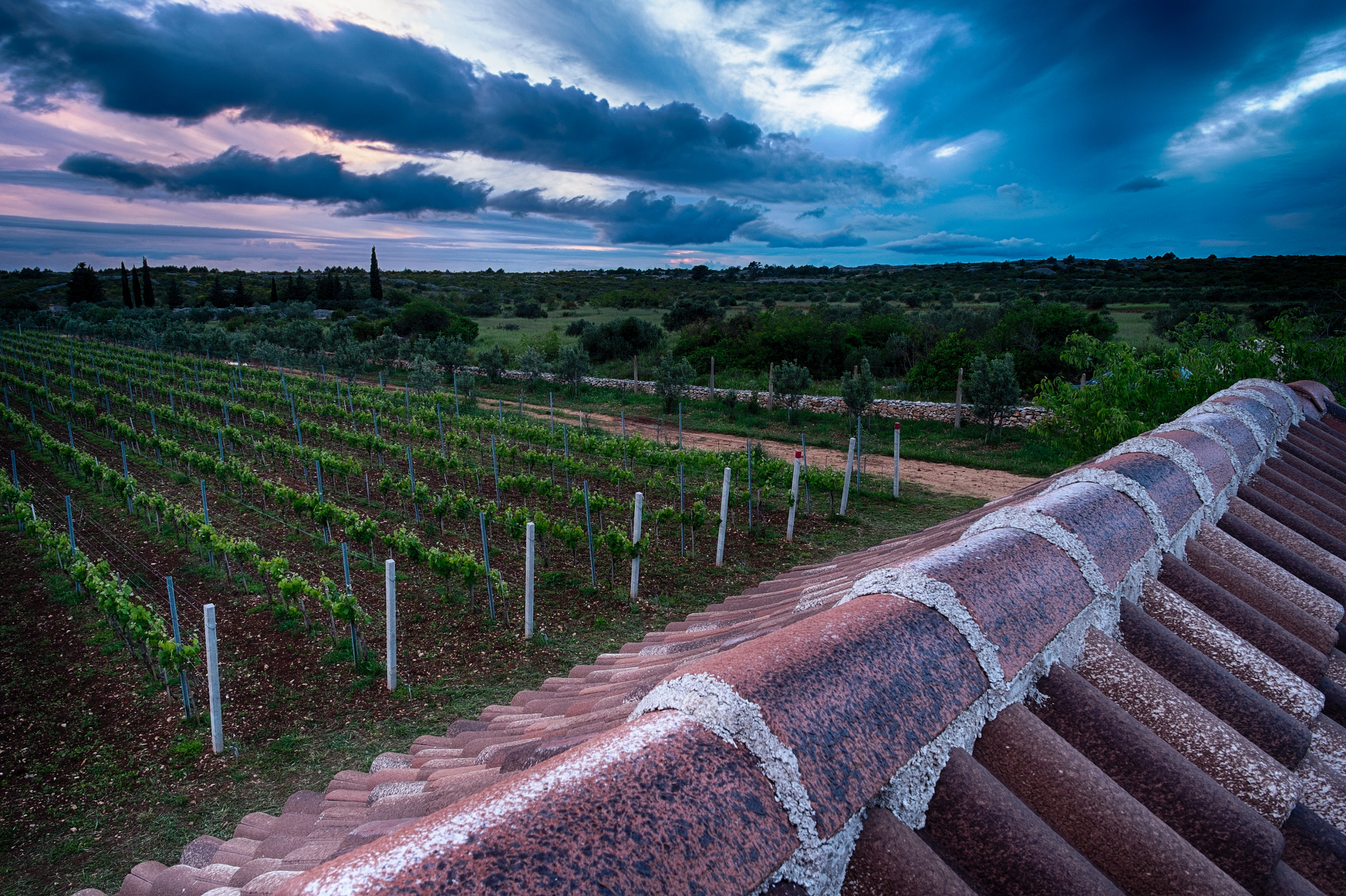 v2?sig=67694e089256813cde3ff49263dca3435d60f71c7d9536c512ccf93a48cbd1c1