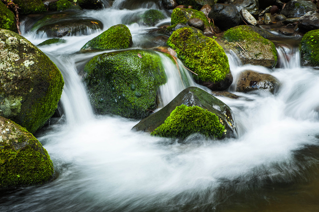 Water stream by Jose Marcelino Nicdao on 500px.com