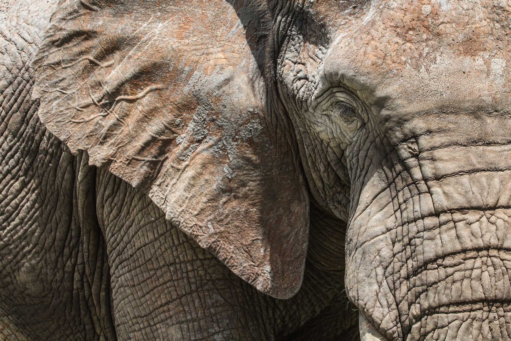 v2?sig=dbca8fb1d535b12b36fa0c472fa2d390d498ce66cca2d7fcddd63965ba1038ba