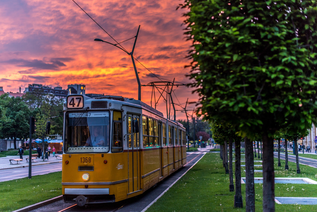 Photograph Sunset tram by Tamas Forgacs on 500px