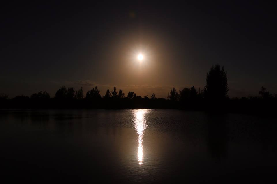 Day and Night