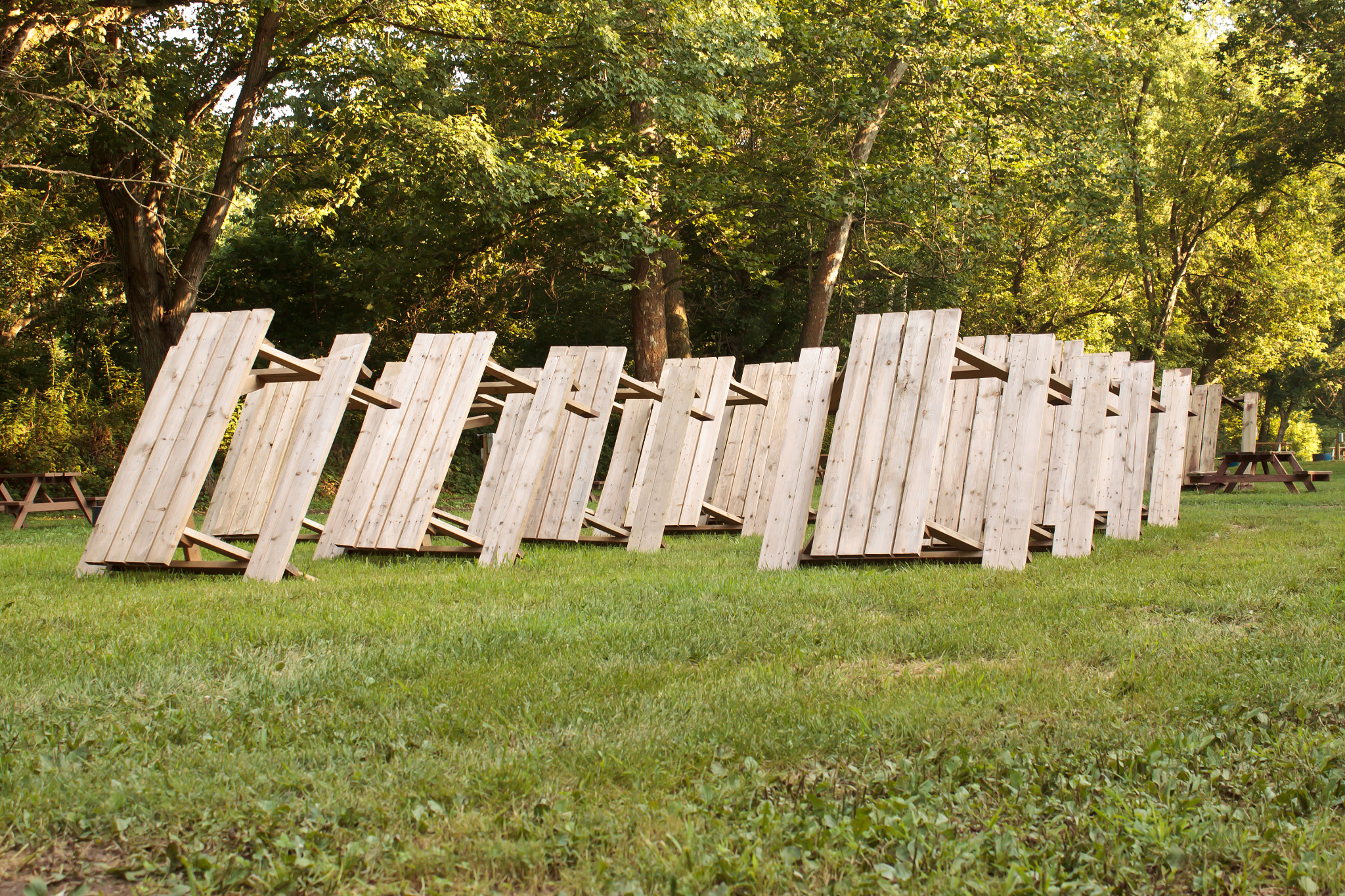 Rows of picnic tables