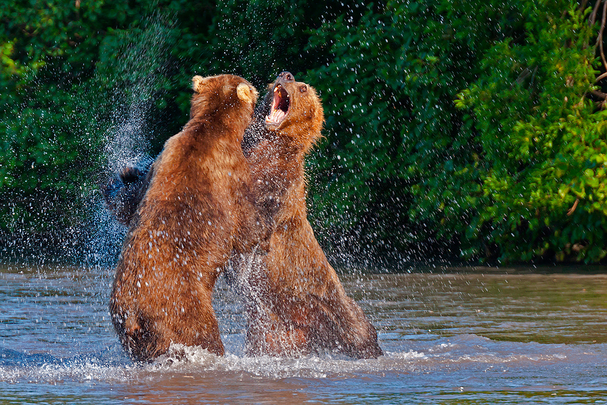 Favorites curated by Vladimir Vladimir / 500px