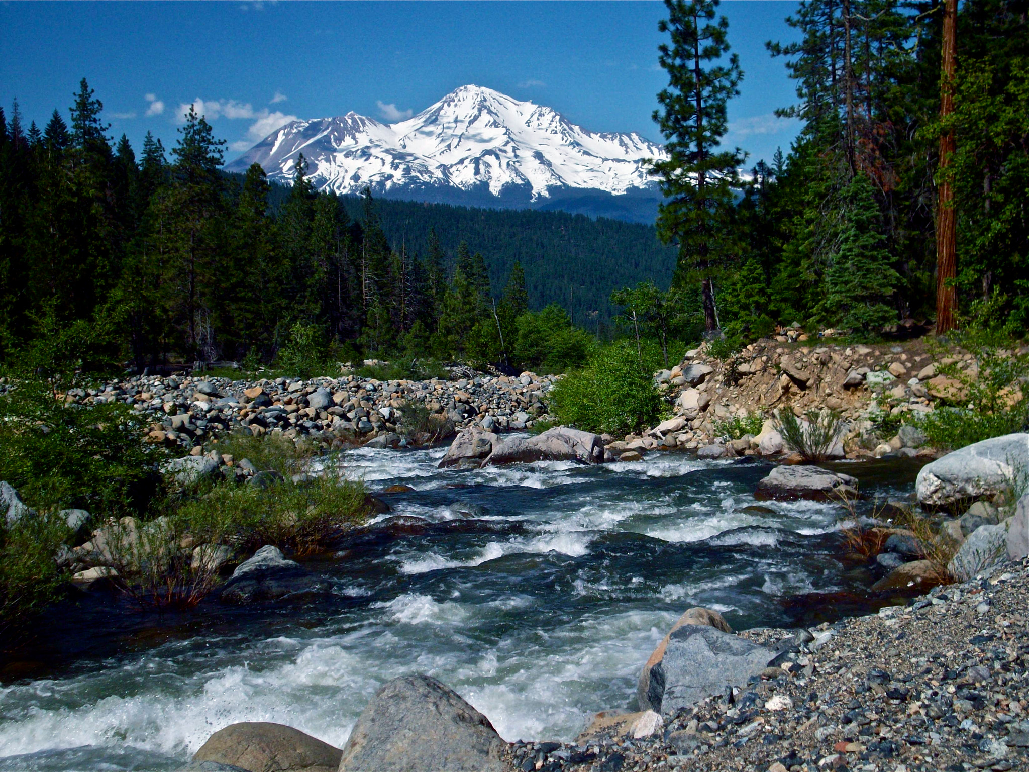 Shasta Boulder Bound by Cynthia Singleton