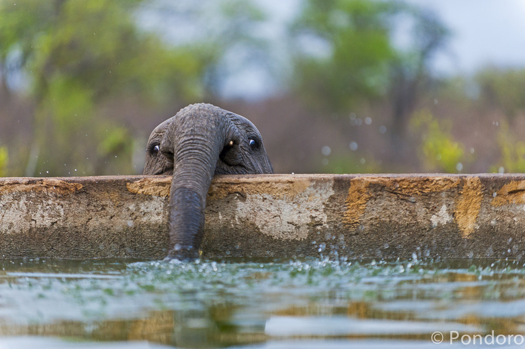 Blowing bubbles by Robbie Prehn on 500px.com