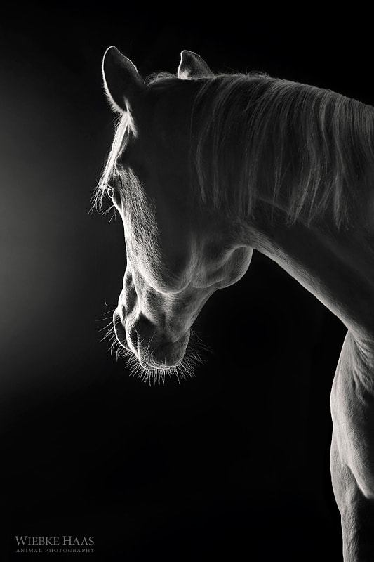 The Beauty Of Hindsight by Wiebke Haas on 500px.com