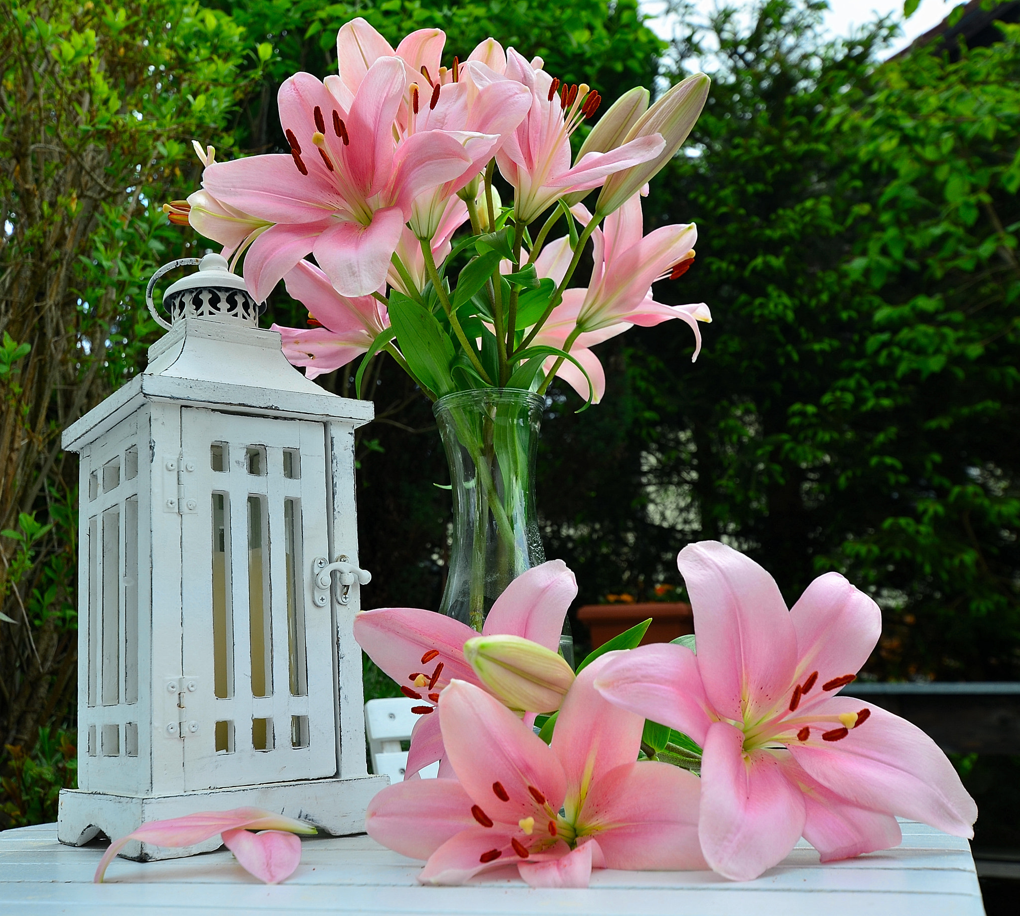 pink lilies on a table in the garden