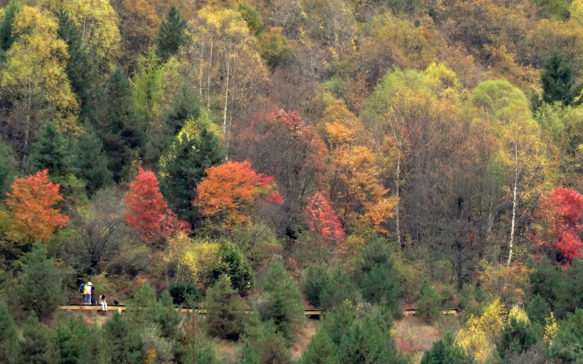 画中行 travel in painting