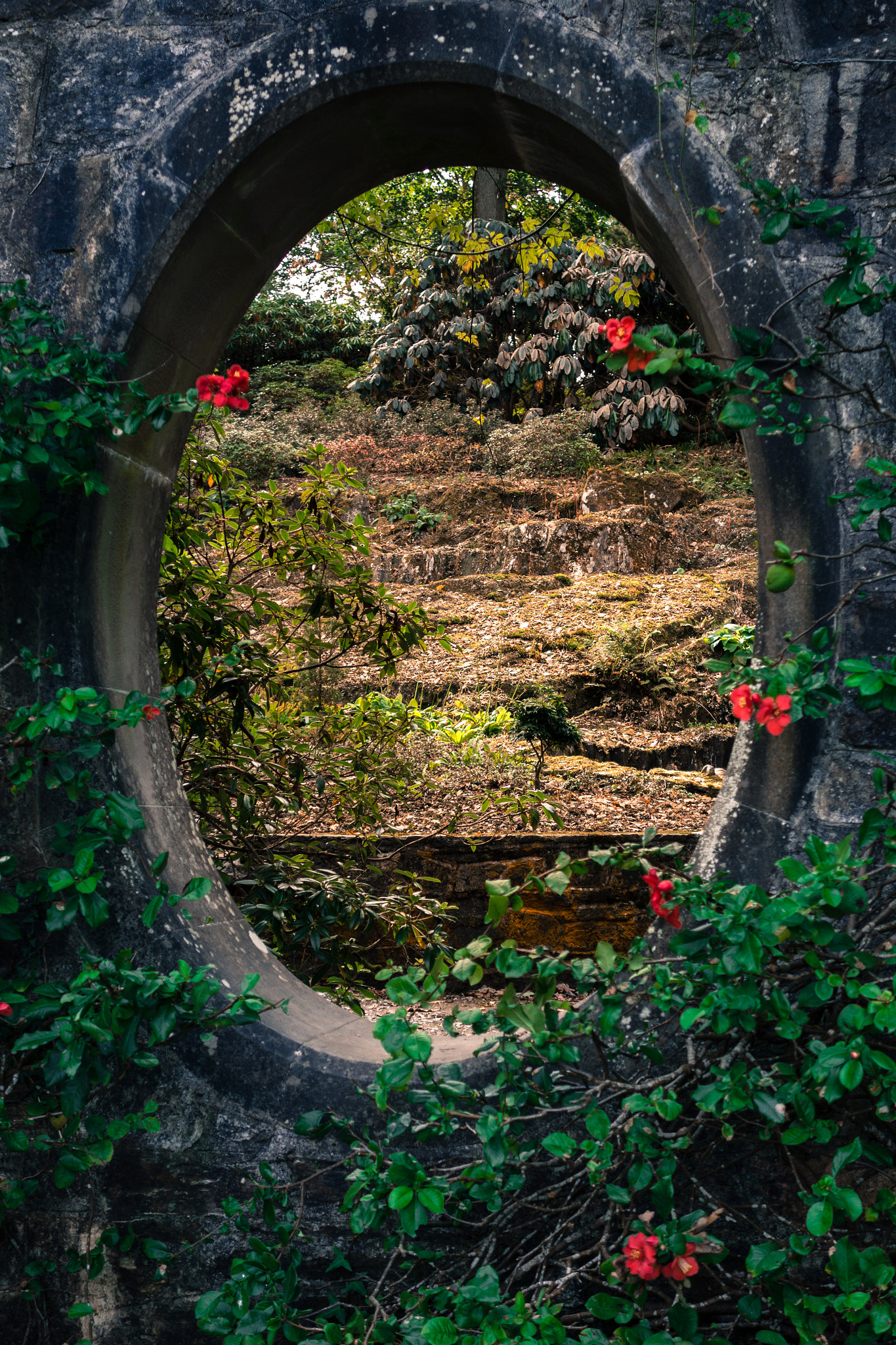 Mount Congreve gardens